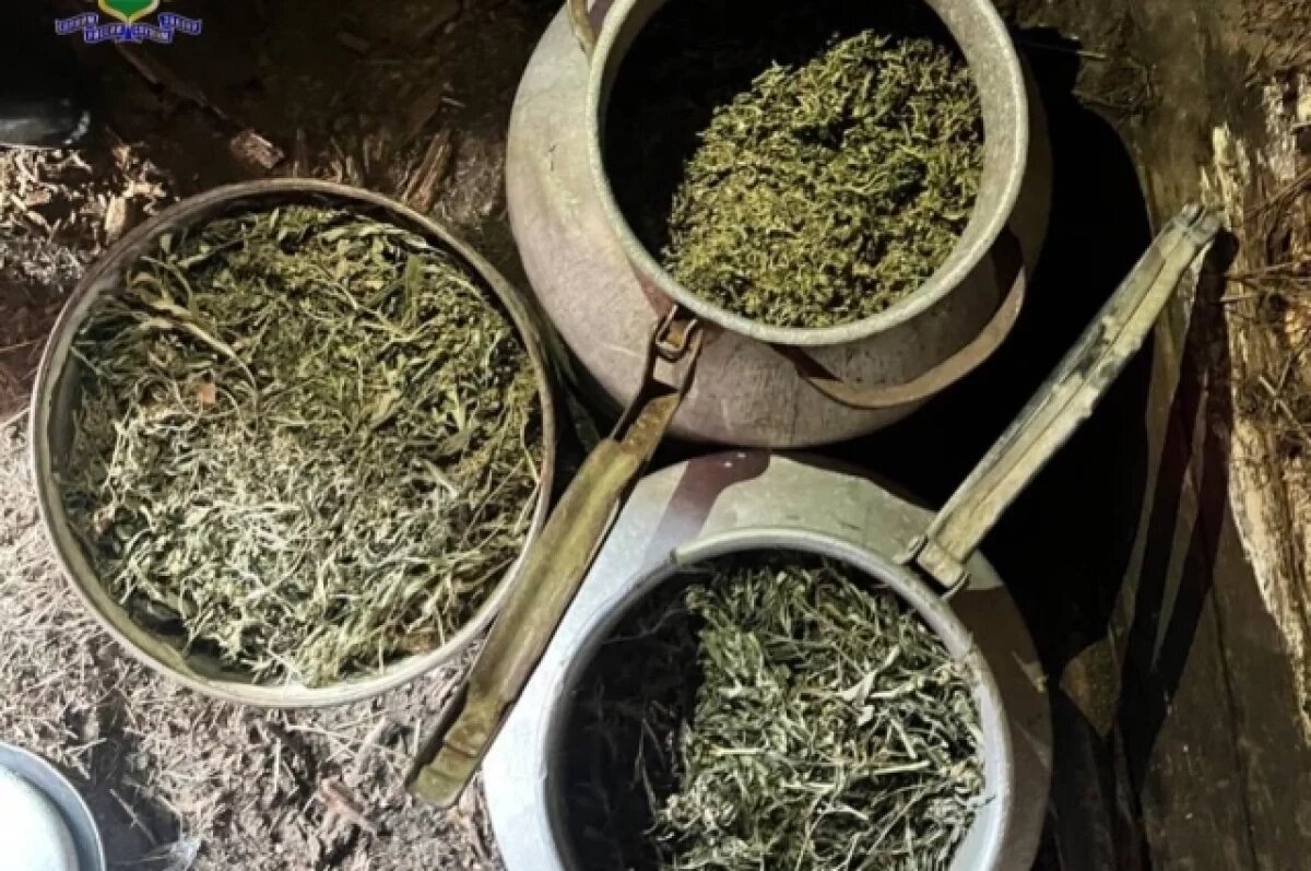    Хроническая боль довела пенсионера из ЕАО до уголовного дела