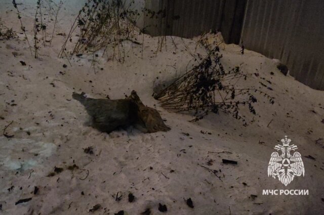    Фото: ГУ МЧС по Томской области