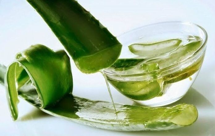 Удивительно полезный для многих семян сок этого растения