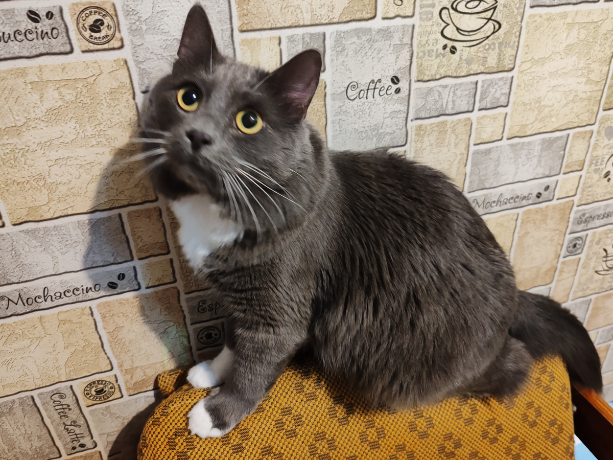 Фото автора канала. 