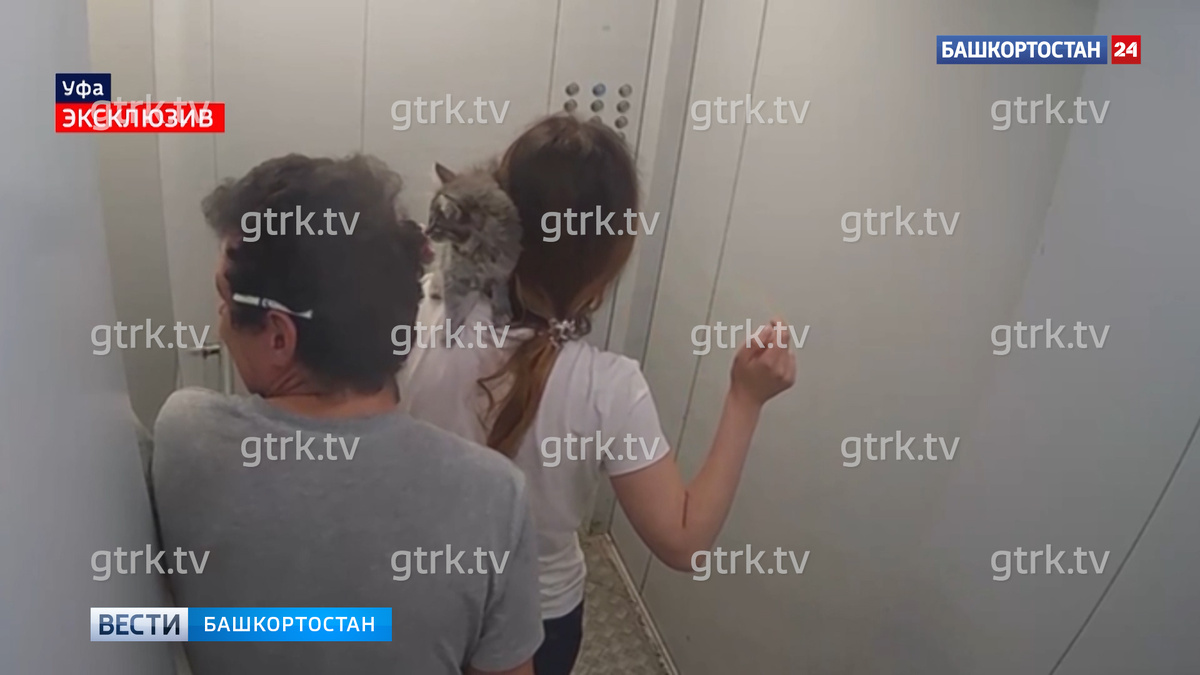    Уфимец, зарезавший и задушивший знакомую во время ссоры, 9 лет проведет в тюрьме