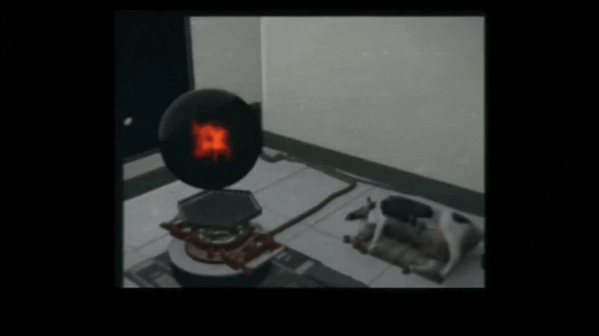 Эксперимент с мертвой коровой