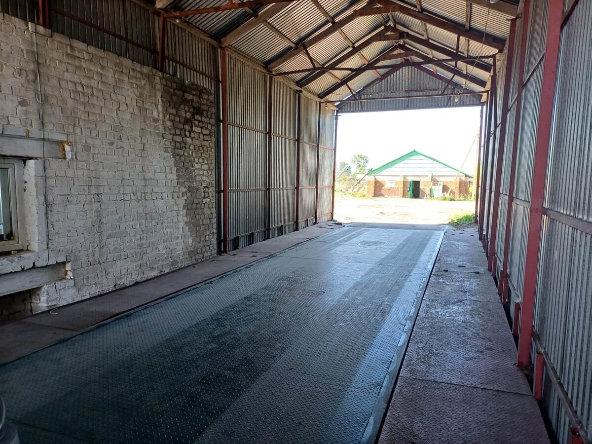 автомобильные весы