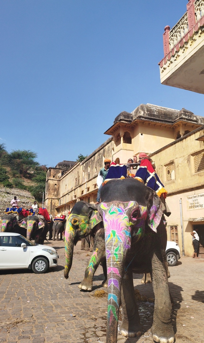 А вот и радужные слоники, на которых мы не поехали