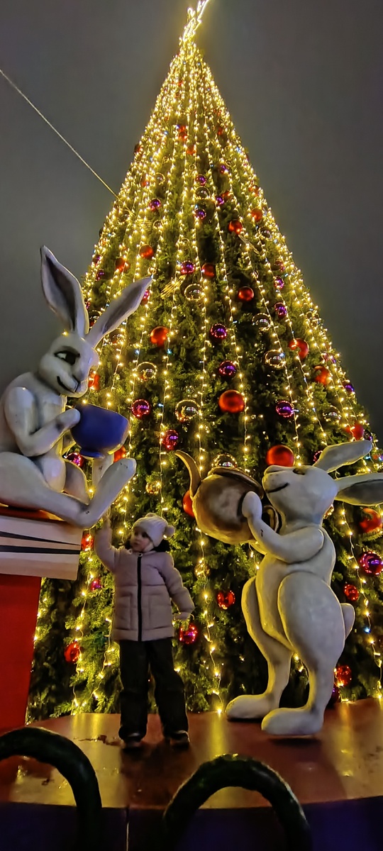 В Щелково ёлку установили 