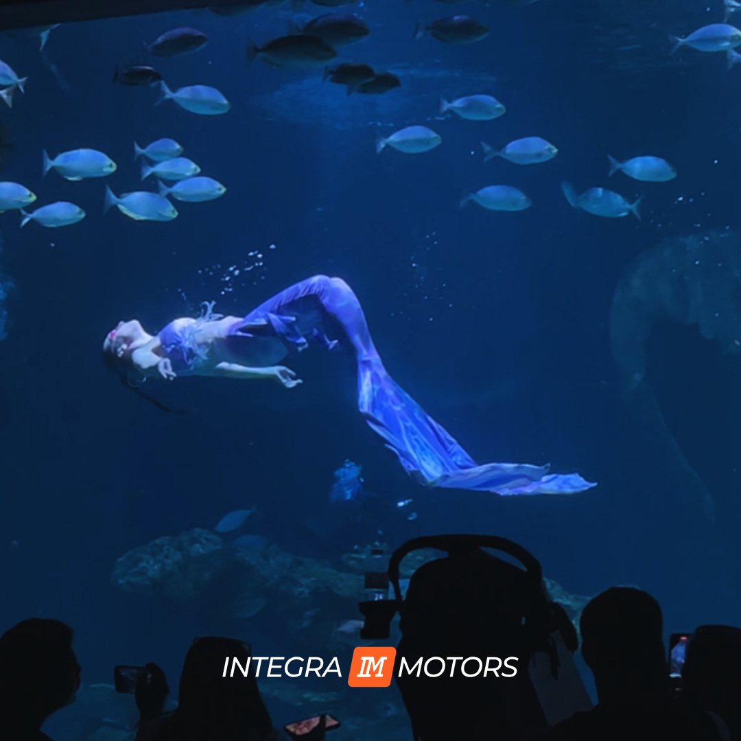 Шоу русалок на Пхукете — Aquaria Phuket