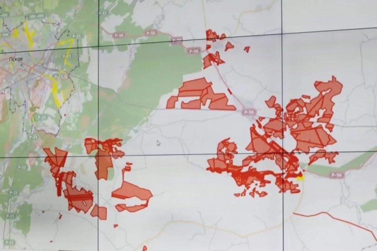   Интерактивную карту распространения борщевика создали в Псковской области