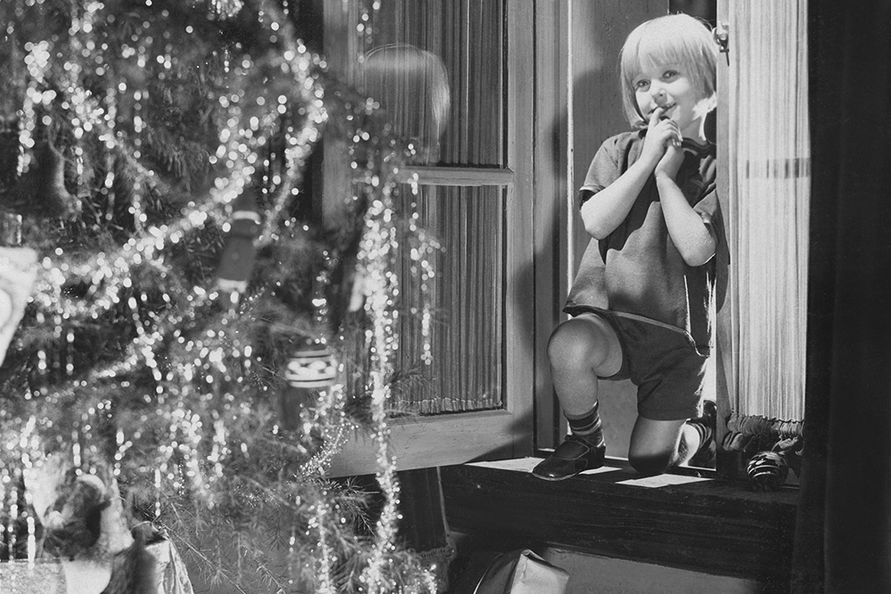 Фото: Shutterstock.com