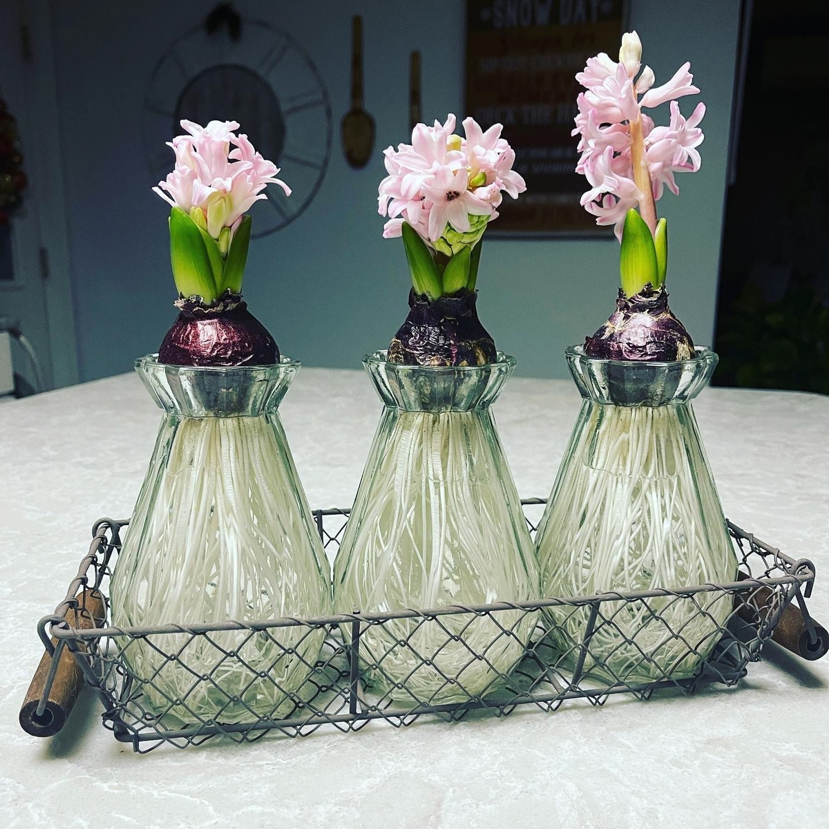 Фото: themillionmilestravel_minadora