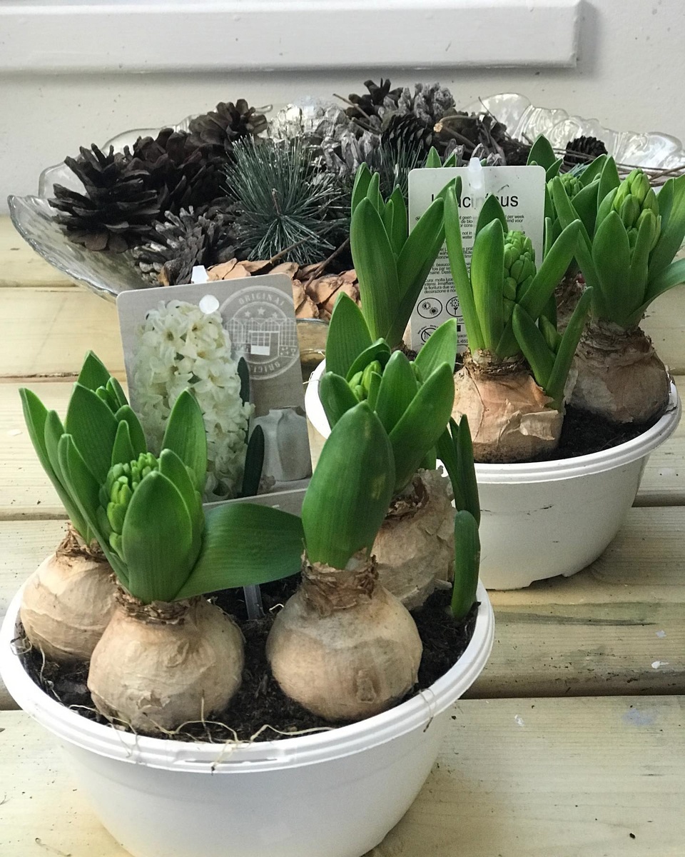 Фото: theoldlarchhouse