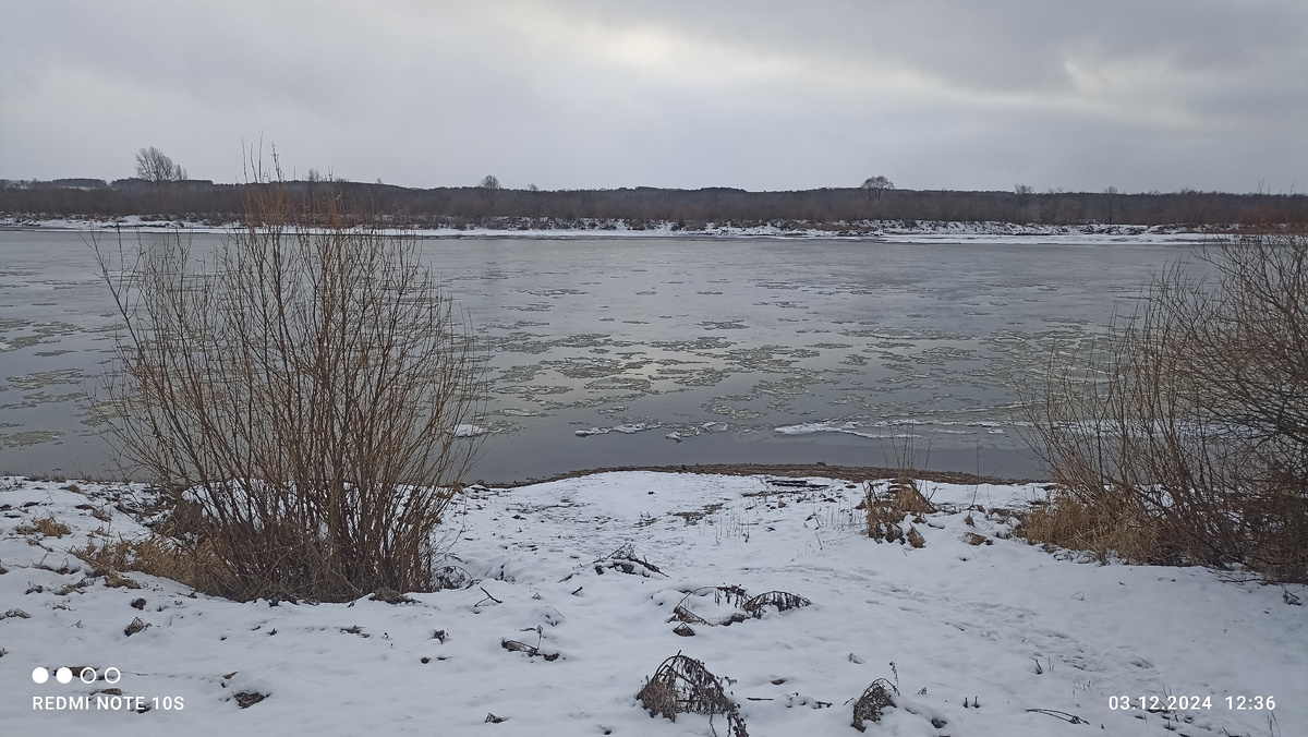 Шуга. Фото автора.