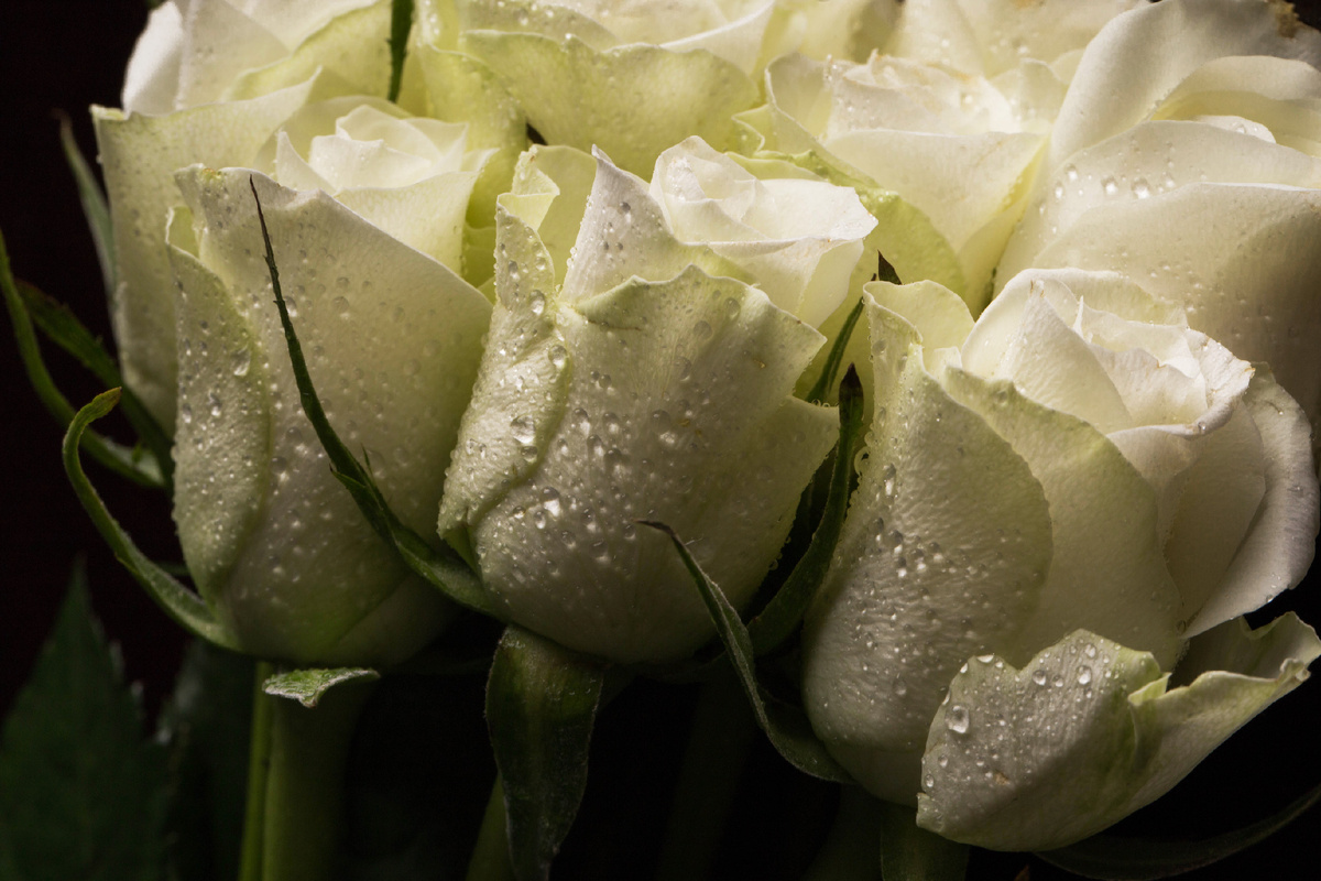 Фото с freepik.com (автор: Racool_studio)