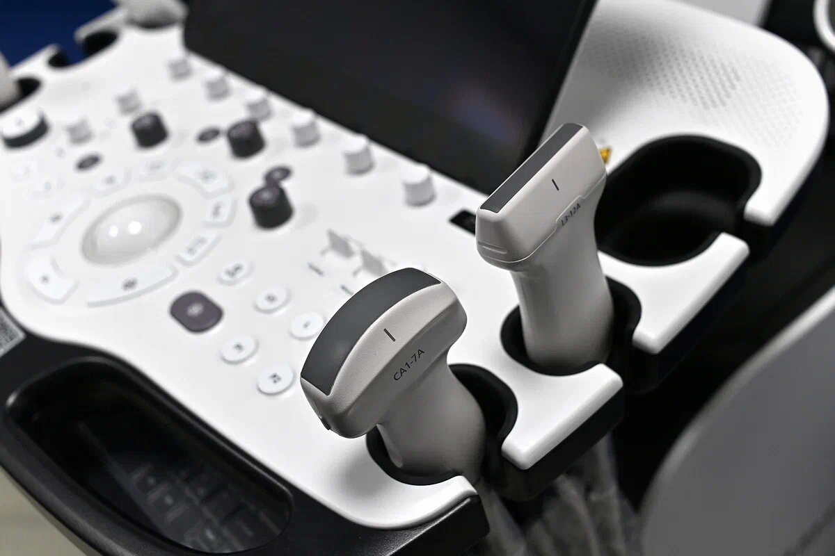    Фото: Николай Щипко