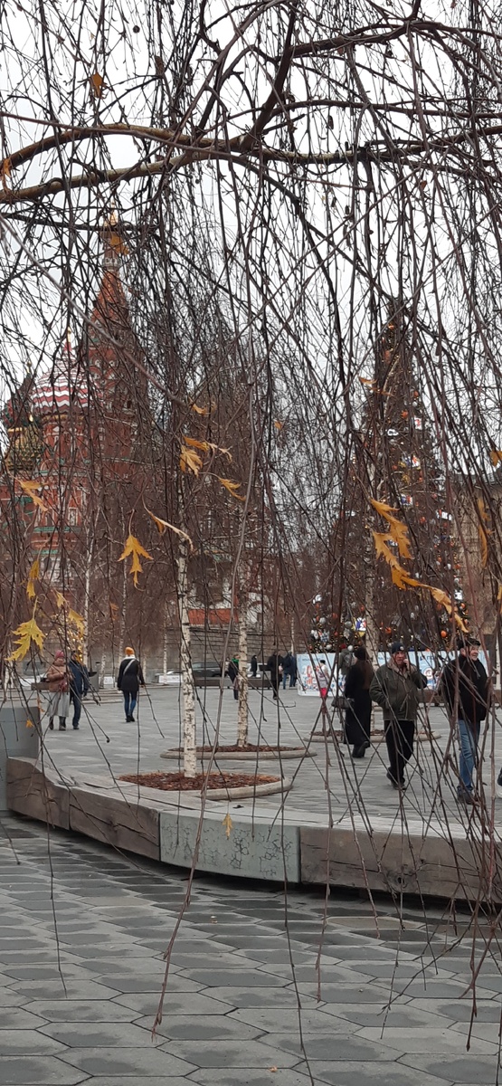 Зарядье в предзимье. 