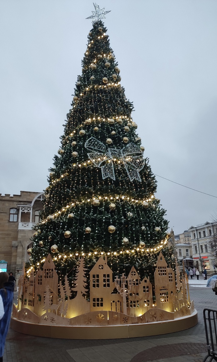 Елка у Главной нарзанной галерии, фото Сад в стиле Paradise ®