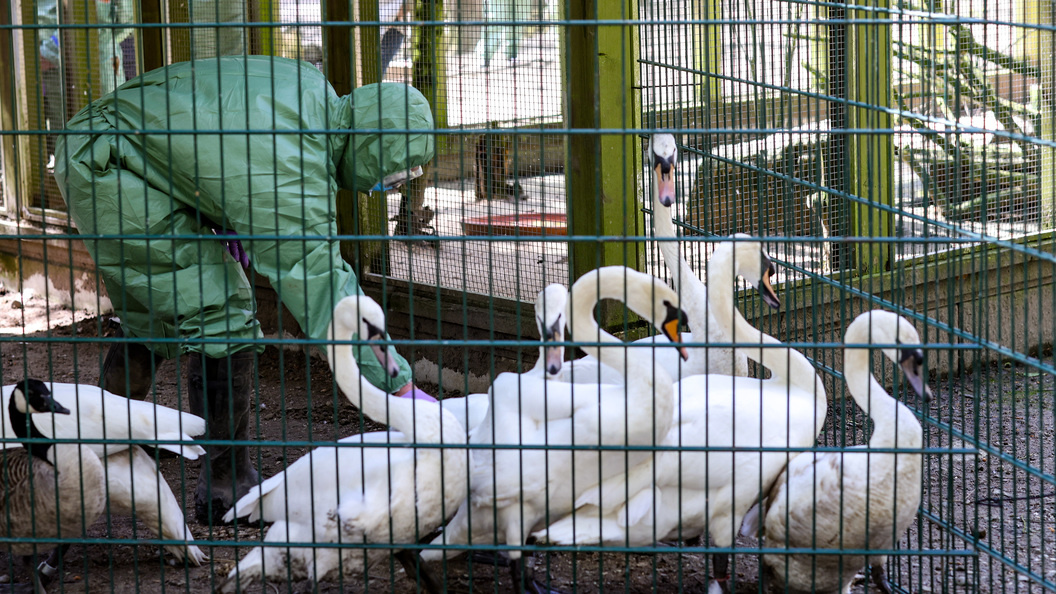    фото: Christoph Reichwein/dpa/Globallookpress