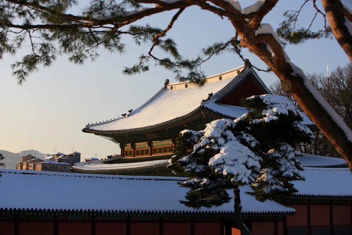    Дворец Чхандоккун зимой. Южная Корея. Фото: НОТК