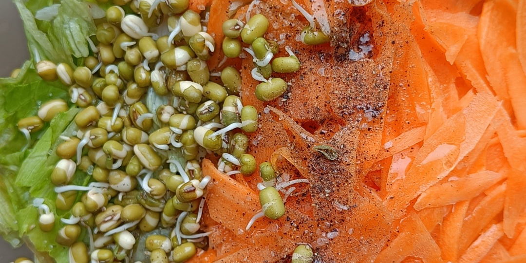 Ростки маша - кладезь витаминов и вкусная свежесть в любое время года