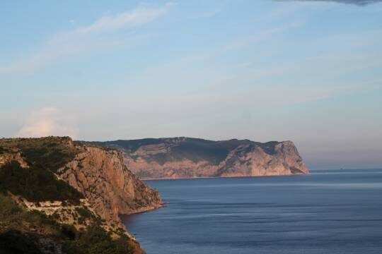    Морские коллеги