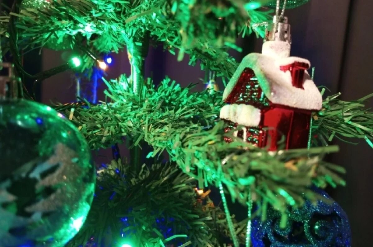    В мэрии рассказали о праздничной программе в новогоднюю ночь в Ижевске