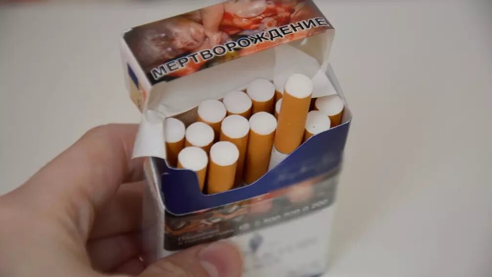 Предупреждения об опасности табака не повлияли на жителя Курска, которого за курение засудили соседи. Фото: 1MI