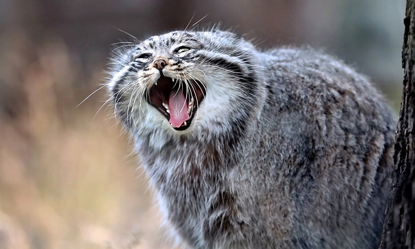 Фото с ресурса pravmir.ru