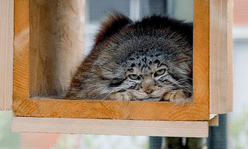 Фото с ресурса pravmir.ru