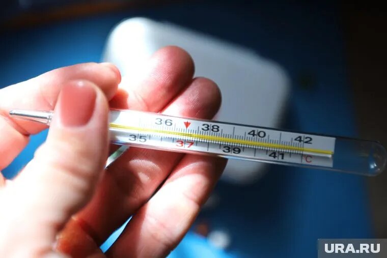 Главным условием для выдачи больничного является нетрудоспособность. Фото: Екатерина Сычкова © URA.RU