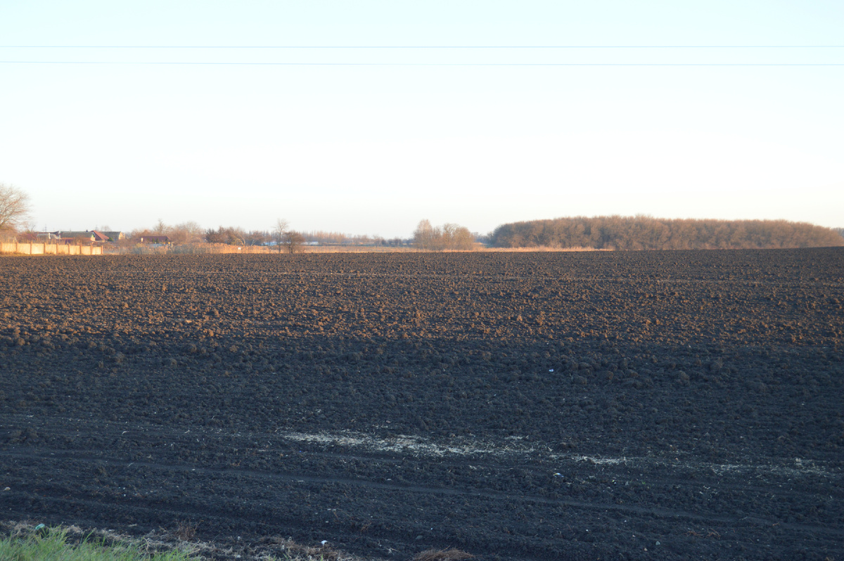 Фото автора. 04.12.2024. Вспаханное поле агрофирмы.