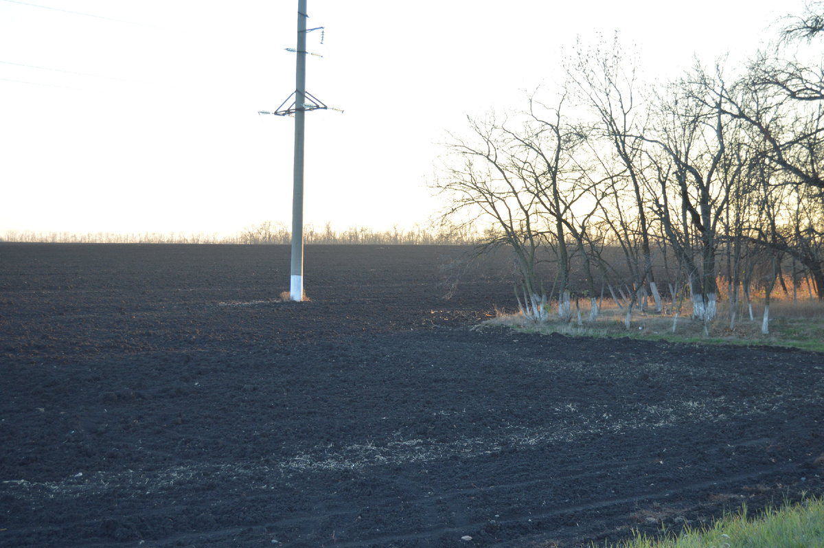 Фото автора. 04.12.2024. Поле агрофирмы. Пахать не сеять, сеять не пахать!
