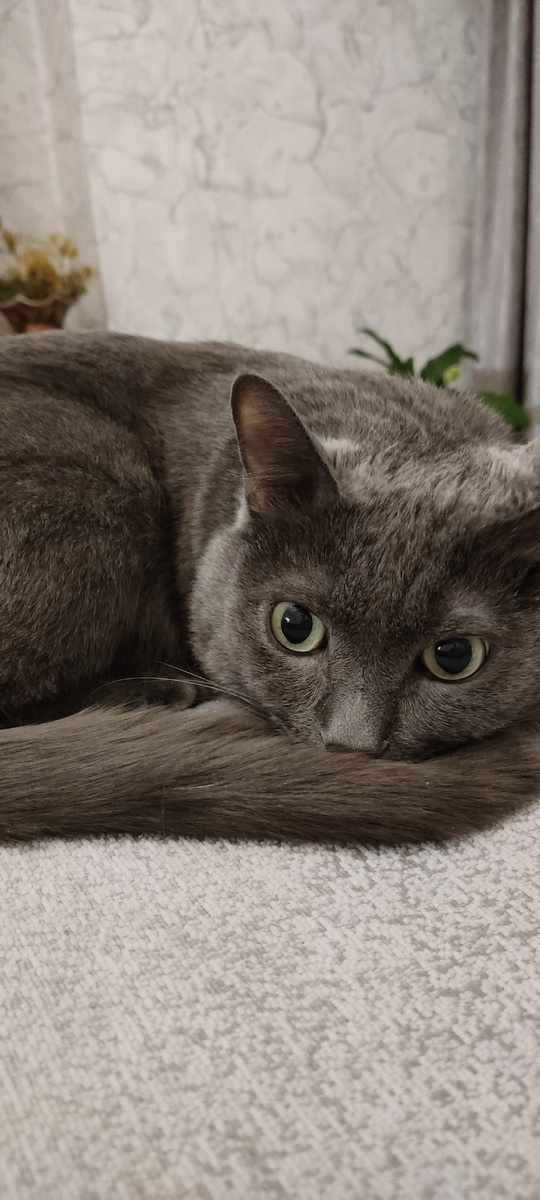 Себастьян наш. 