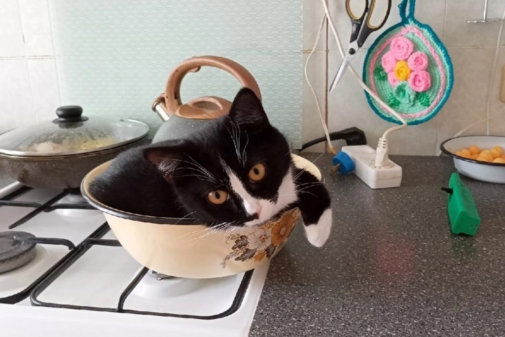    Происшествие случилось этим летом.