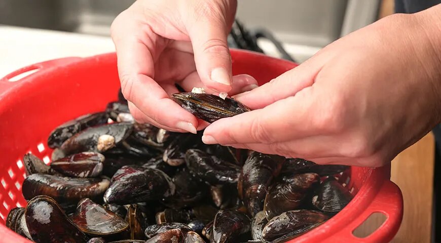   Как чистить мидии правильно (Shutterstock/FOTODOM)