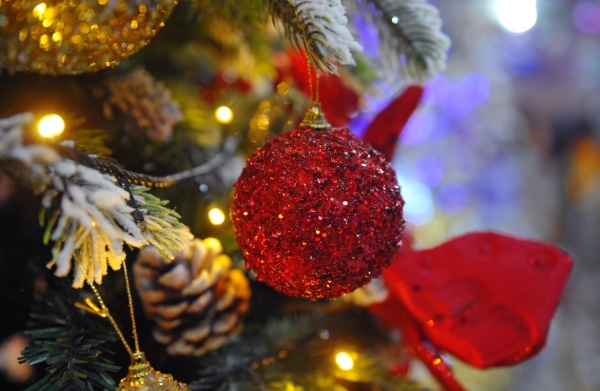 Фото: РИА Новости/Саид Царнаев