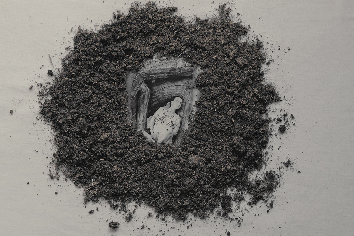 Непрерывный цикл жизни
Фото: Екатерина Павлова