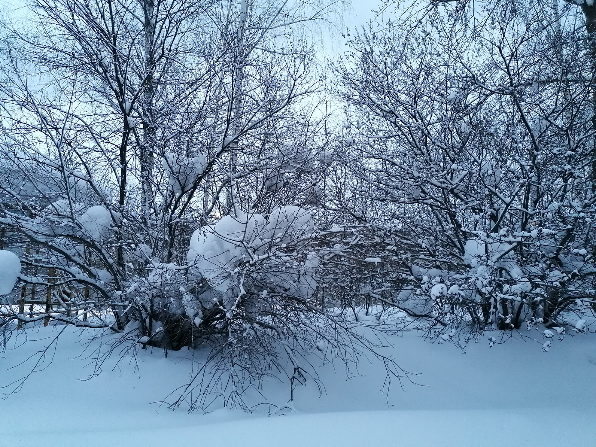 Картинка для разбавления текста. Зимний вечер