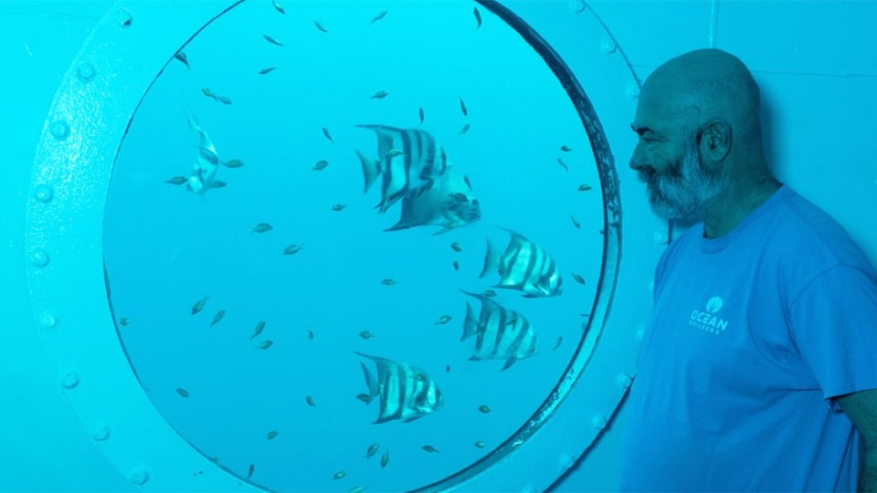 Фото: Instagram*/ocean_builders
*Организация, принадлежащая Meta Platforms Inc., деятельность которой запрещена в России