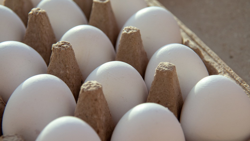    Фото: Svetlana Vozmilova /Globallookpress/