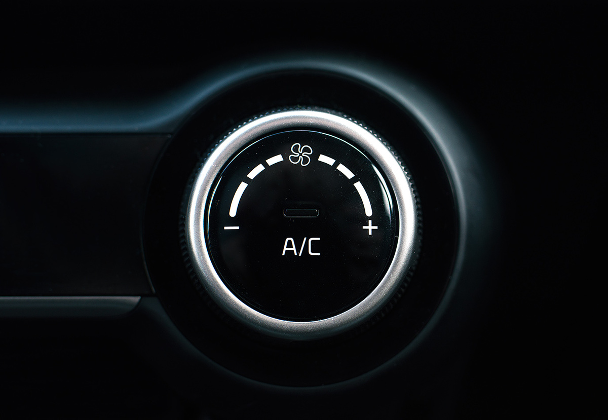 Фото: Shutterstock