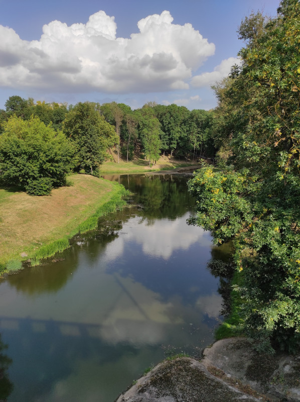 Речка Витьба
