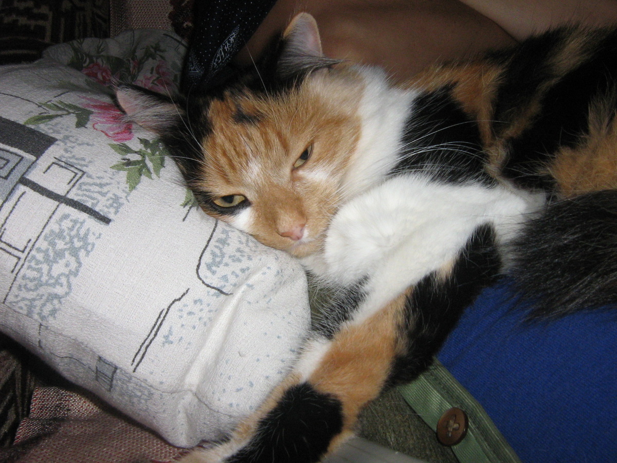 Ну вот поели, теперь можно и поспать. Фото из архива автора.