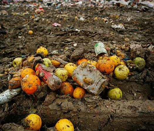 Источник фото: https://www.gettyimages.nl/