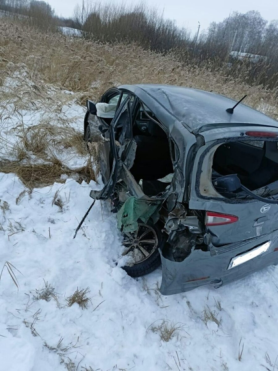    Многодетная мать и ребенок погибли в аварии под Новосибирском. Источник: Госавтоинспекция Новосибирской области