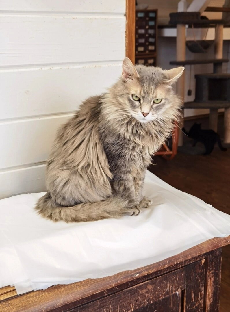 Пересчитала упаковочные пакеты