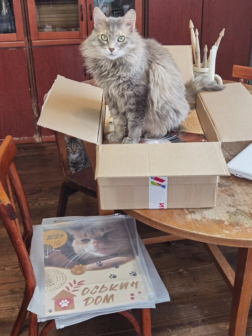 Теперь считает сами календари 