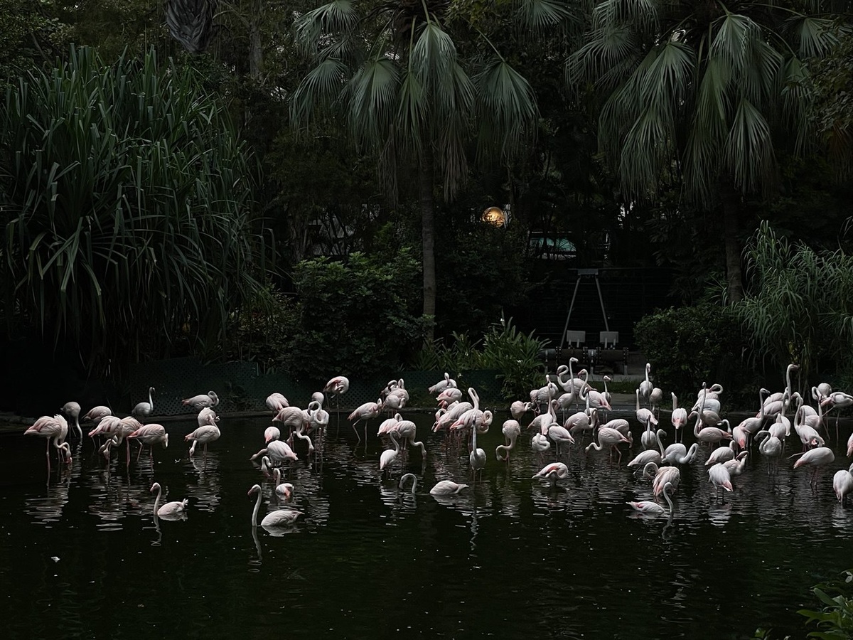 Фото: Елизавета Ивантей / «Рюкзак сахалинки»