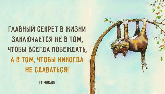 Мой девиз: НИКОГДА НЕ СДАВАТЬСЯ