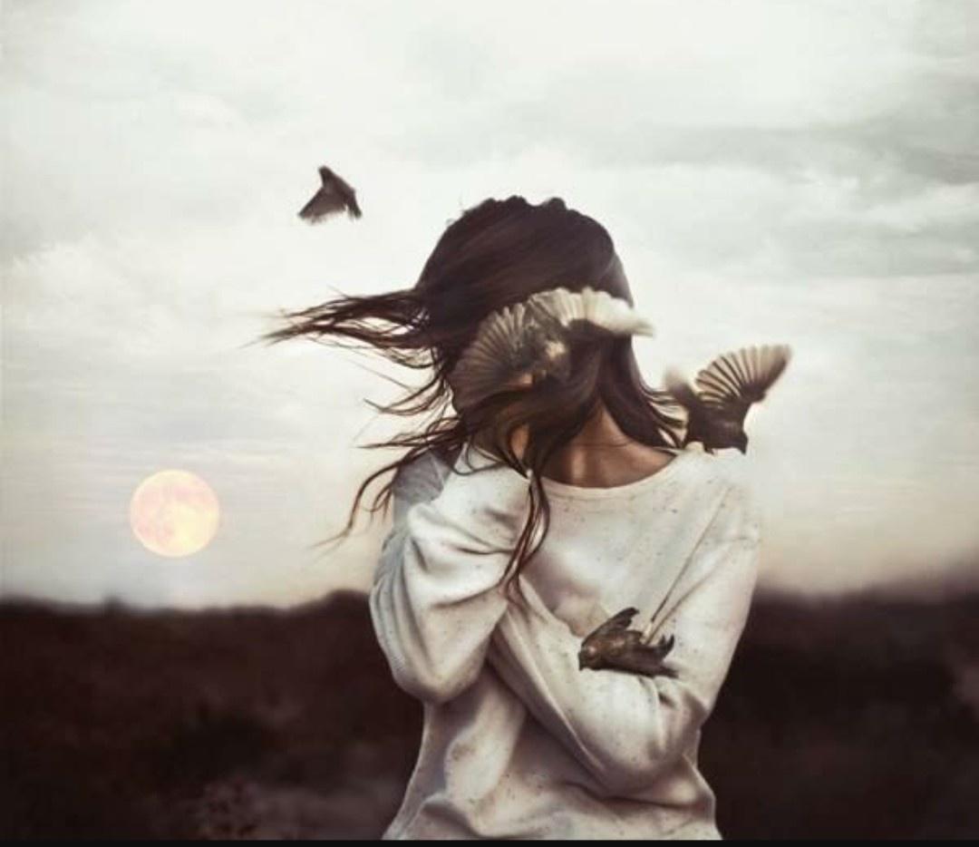 Картинка Дзена