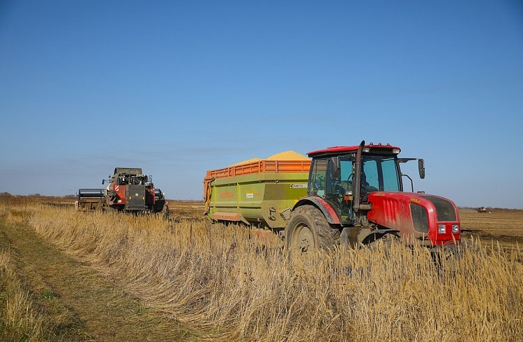    В Приморском крае успешно повышают урожайность кукурузы