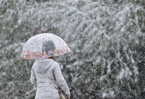 Фото: РИА Новости/Пелагия Тихонова